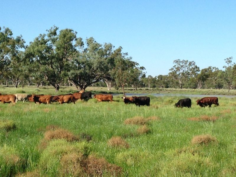 Goondiwindi QLD 4390