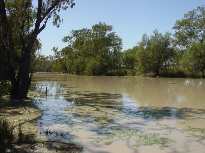 Goondiwindi QLD 4390