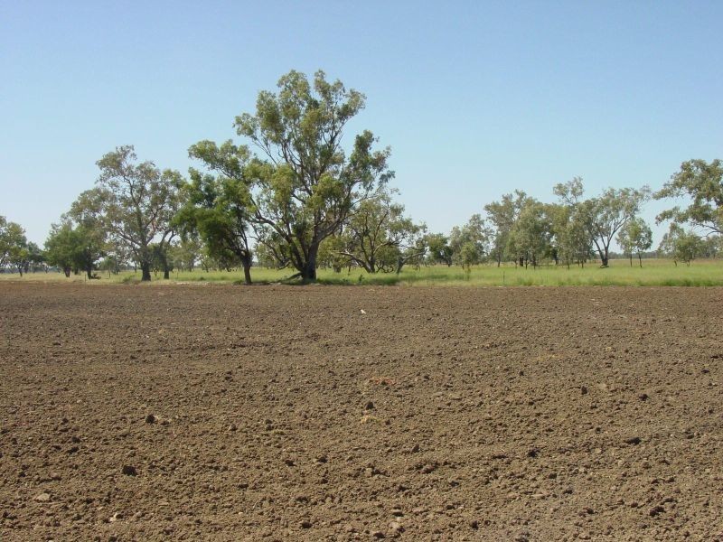 Goondiwindi QLD 4390