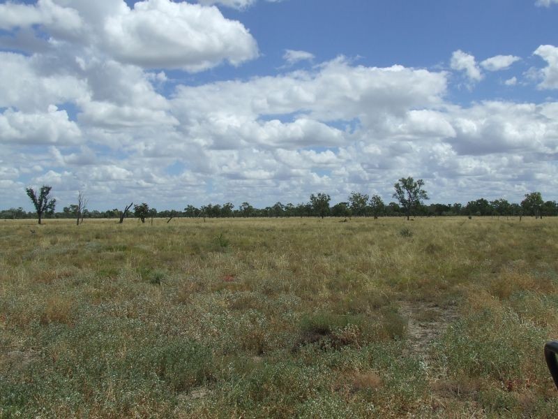 Goondiwindi QLD 4390