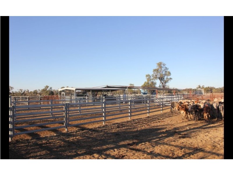Goondiwindi QLD 4390