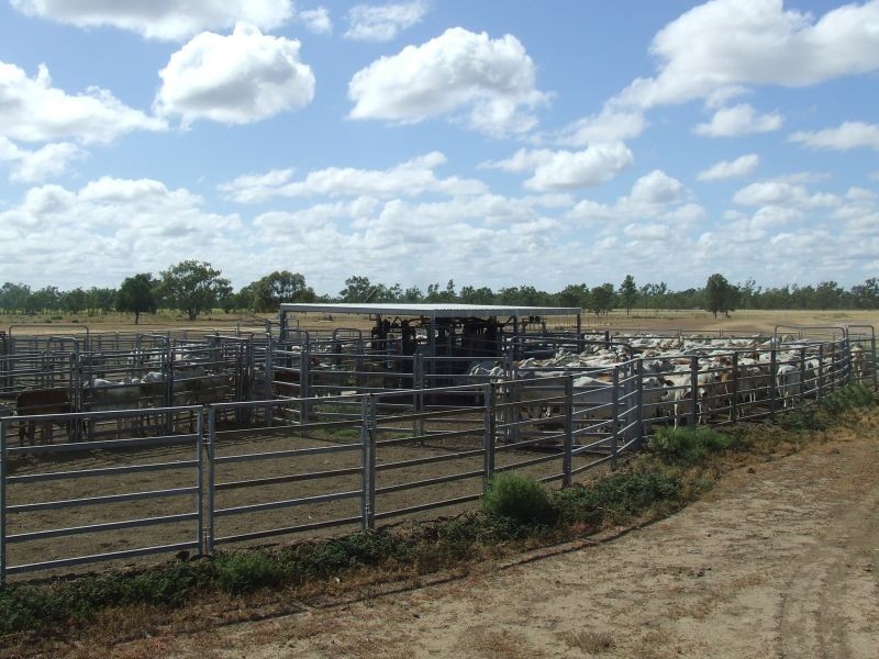 Goondiwindi QLD 4390