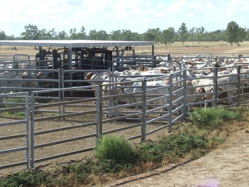 Goondiwindi QLD 4390