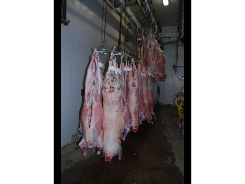 445 Texas Road, Stanthorpe QLD 4380