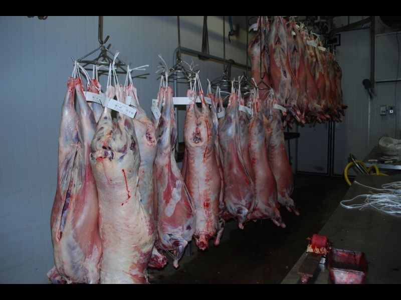 445 Texas Road, Stanthorpe QLD 4380