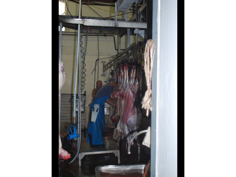 445 Texas Road, Stanthorpe QLD 4380