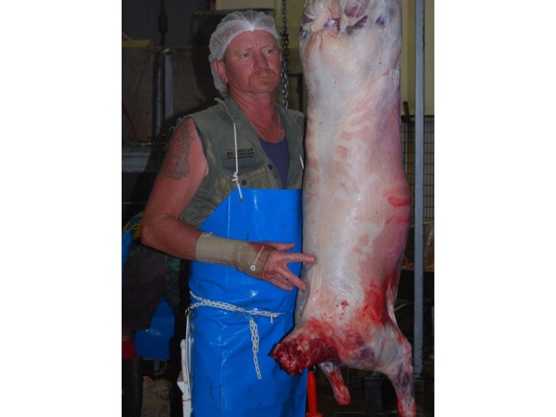 445 Texas Road, Stanthorpe QLD 4380