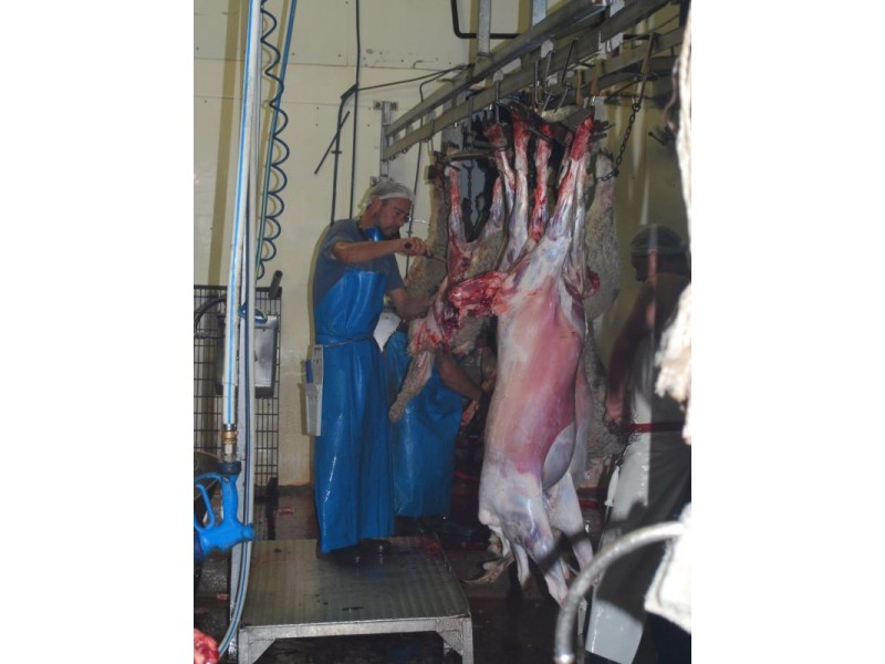 445 Texas Road, Stanthorpe QLD 4380