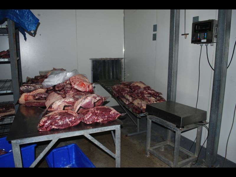 445 Texas Road, Stanthorpe QLD 4380