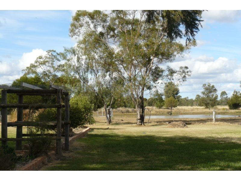 Goondiwindi QLD 4390