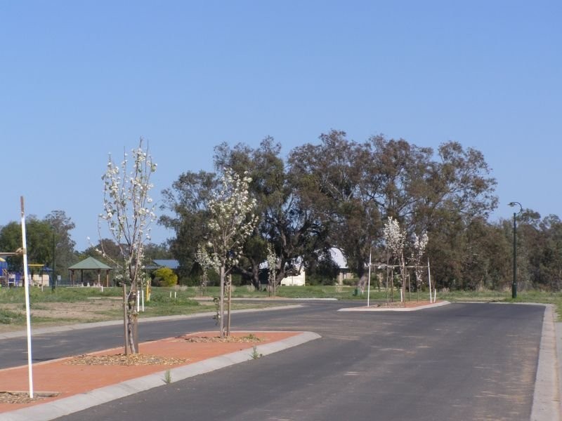 Goondiwindi QLD 4390