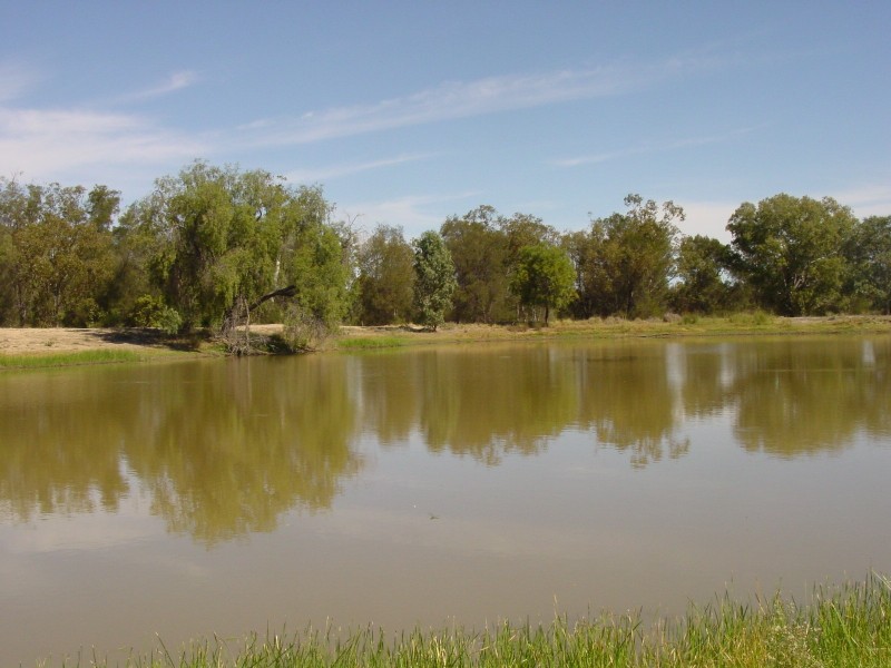 Goondiwindi QLD 4390