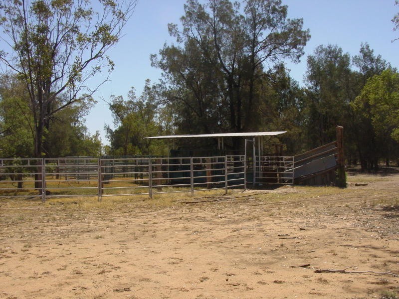 Goondiwindi QLD 4390