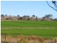 Wallangra NSW 2360