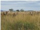 Wallangra NSW 2360