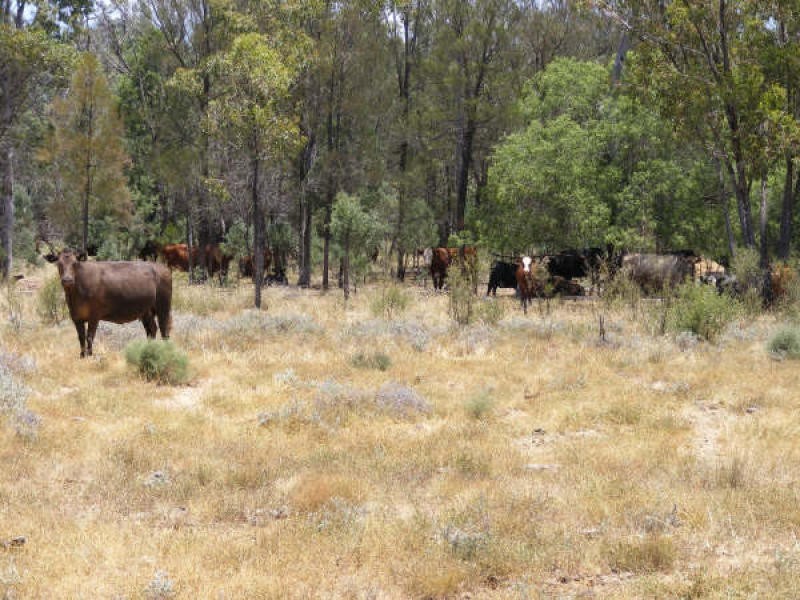 Goondiwindi QLD 4390