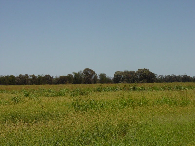 Goondiwindi QLD 4390