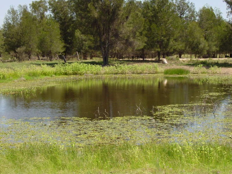 Goondiwindi QLD 4390