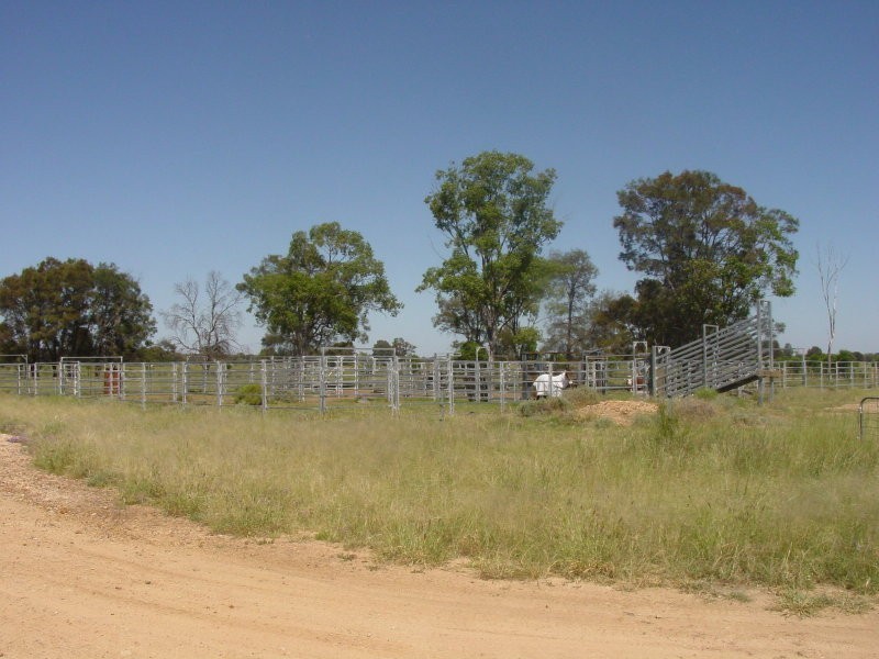 Goondiwindi QLD 4390
