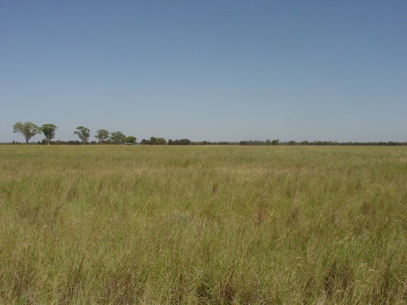 Goondiwindi QLD 4390