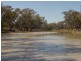Toobeah QLD 4498