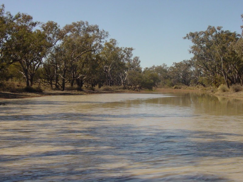 Toobeah QLD 4498