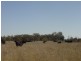 Toobeah QLD 4498