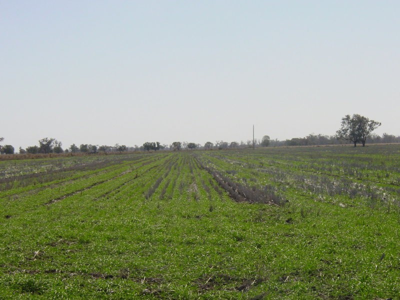 Goondiwindi QLD 4390