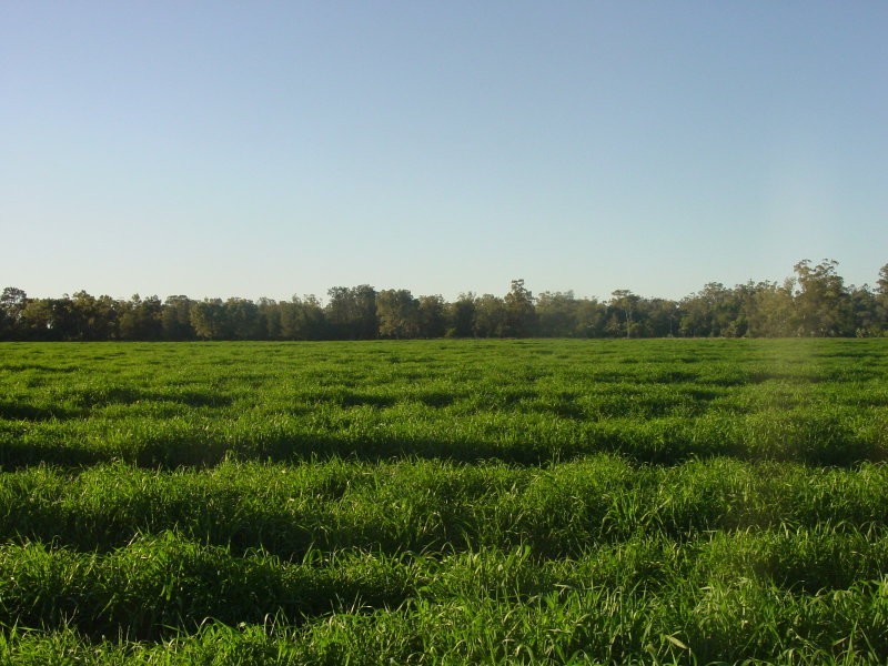 Goondiwindi QLD 4390