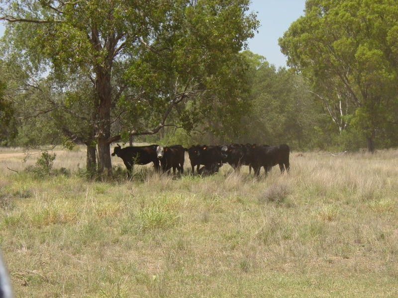 Goondiwindi QLD 4390