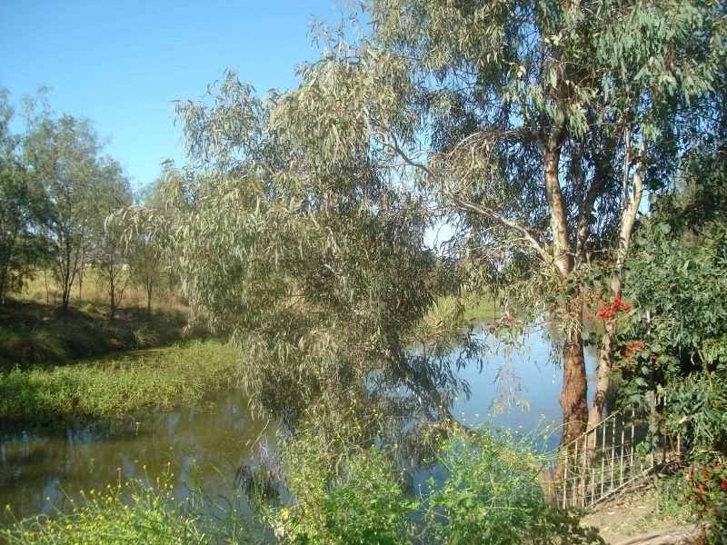 Goondiwindi QLD 4390