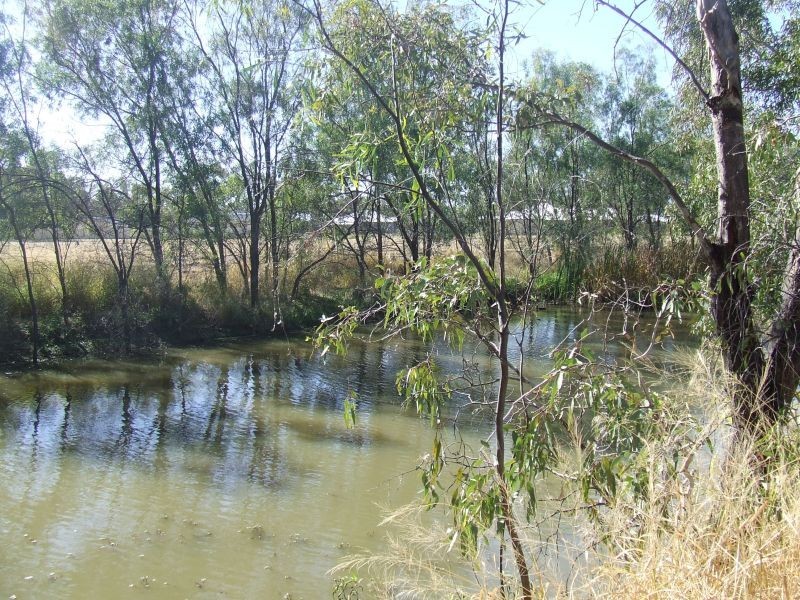 Goondiwindi QLD 4390