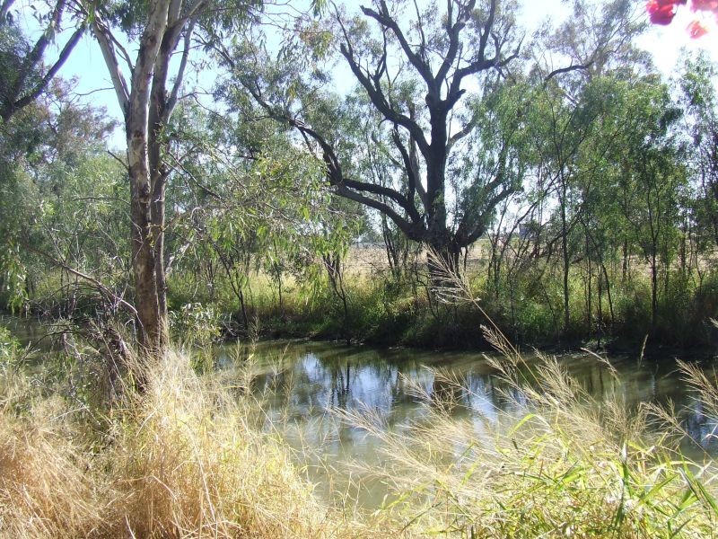Goondiwindi QLD 4390