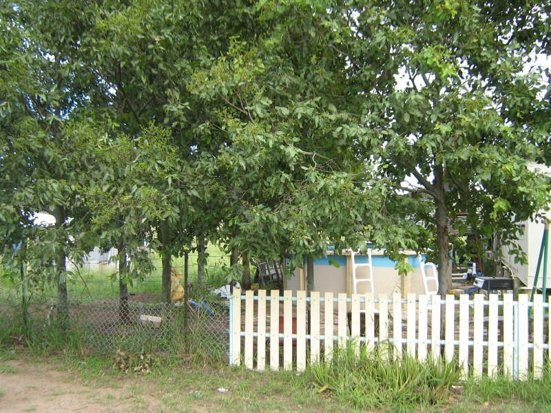 Cloyna QLD 4605