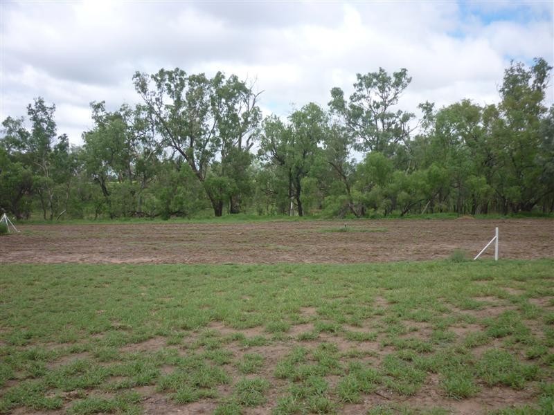 222 Whytes Road, St George QLD 4487