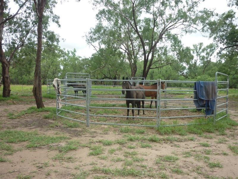 222 Whytes Road, St George QLD 4487