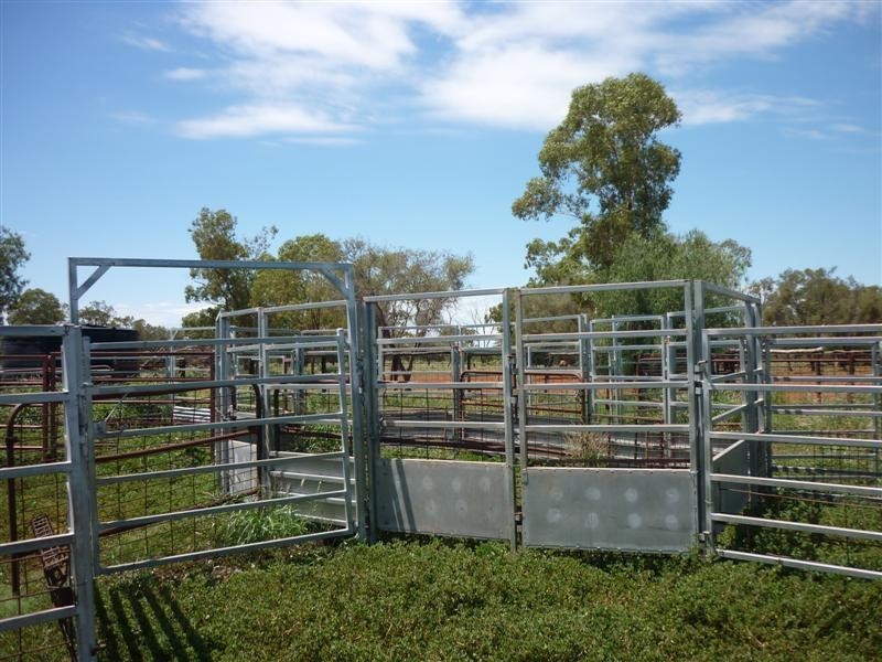 Bollon QLD 4488