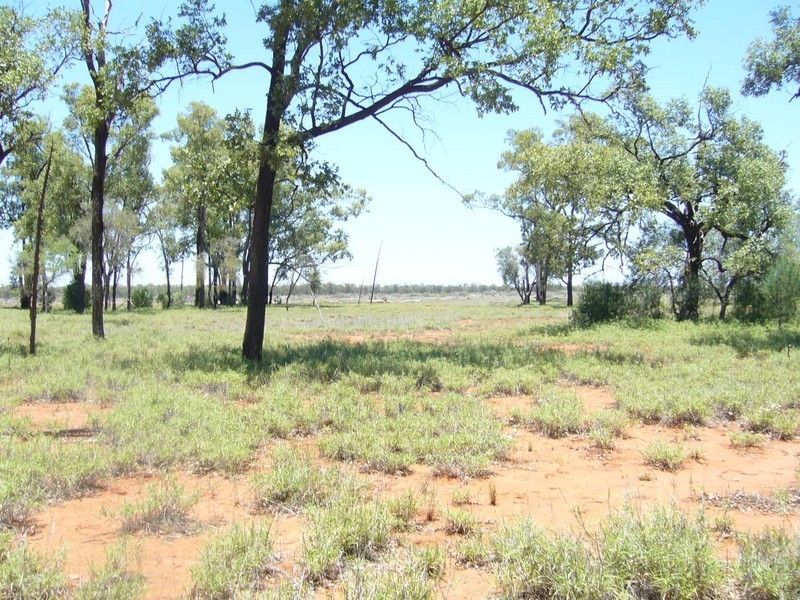 1840 Unity Road, St George QLD 4487