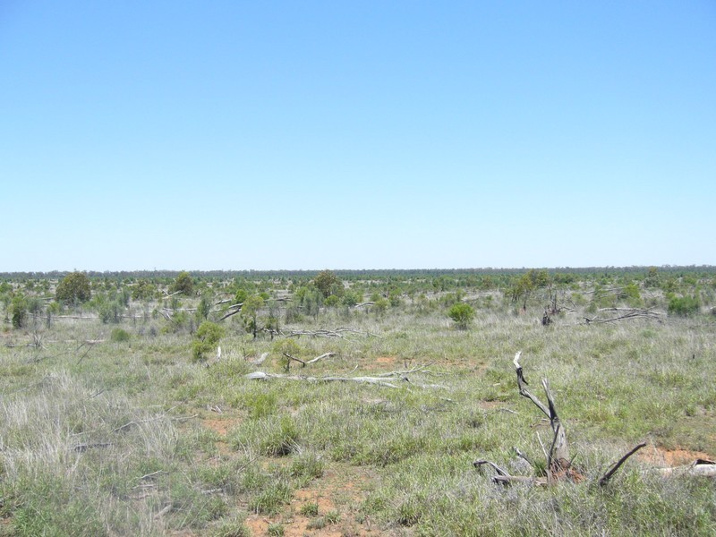 1840 Unity Road, St George QLD 4487