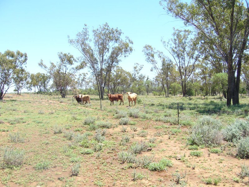 1840 Unity Road, St George QLD 4487