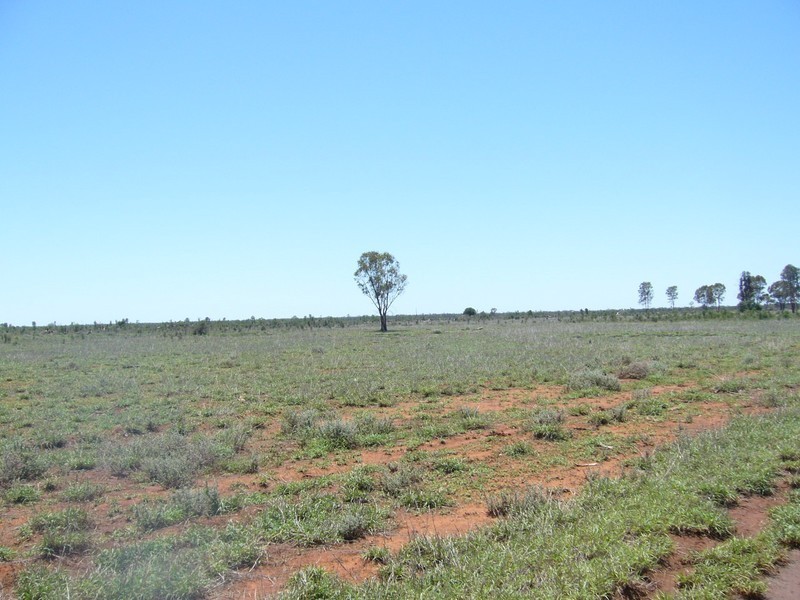 1840 Unity Road, St George QLD 4487