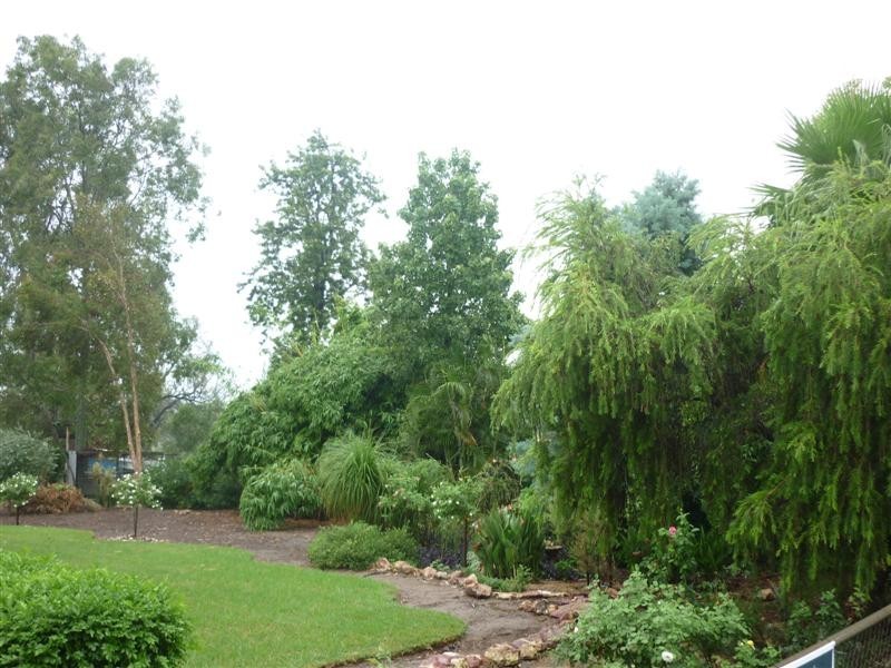 81 Victoria Street, St George QLD 4487