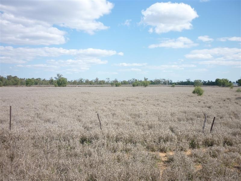 12839 Carnarvon Highway, St George QLD 4487