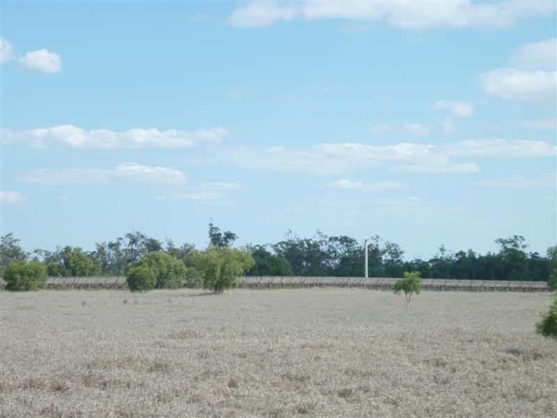 12839 Carnarvon Highway, St George QLD 4487