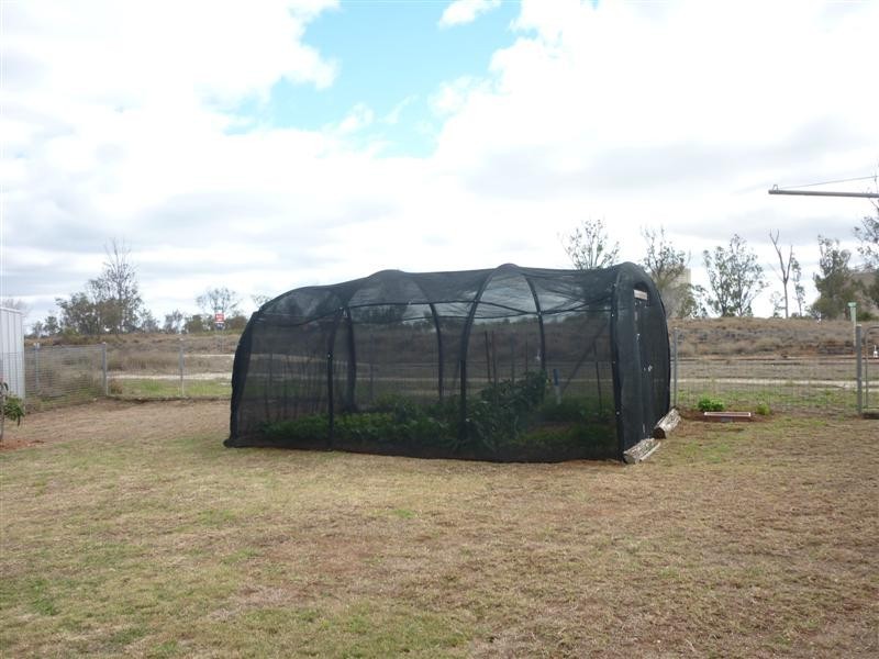 39 Pine Street, Thallon QLD 4497