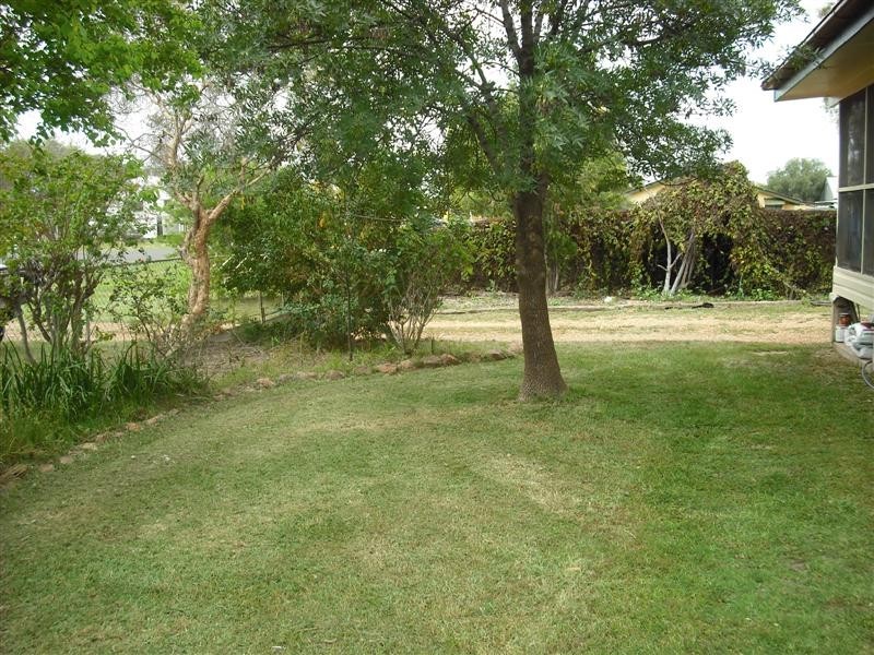 31 Cowildi Street, Dirranbandi QLD 4486