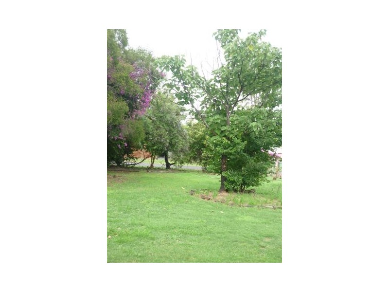 12 Carnation Avenue, St George QLD 4487