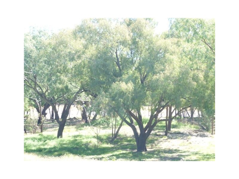 00 Carnarvon Highway, St George QLD 4487