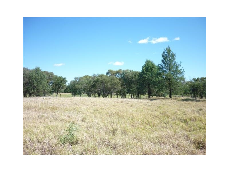 13058 Carnarvon Highway, St George QLD 4487