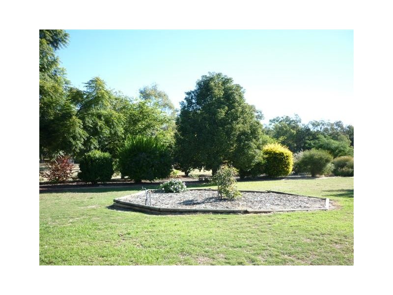 157 Whytes Road, St George QLD 4487